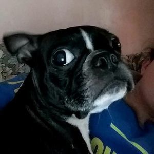 Meet your Posher, Alexis